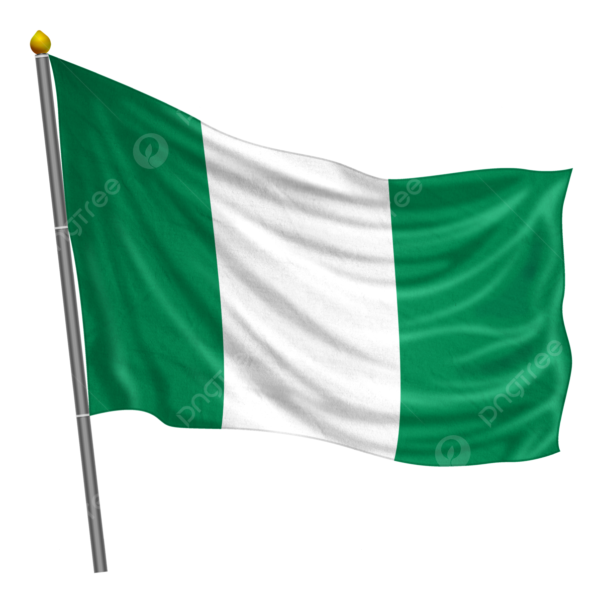 Nigeria Flag